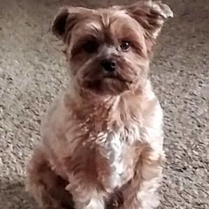 Meet your Posher, Wanda